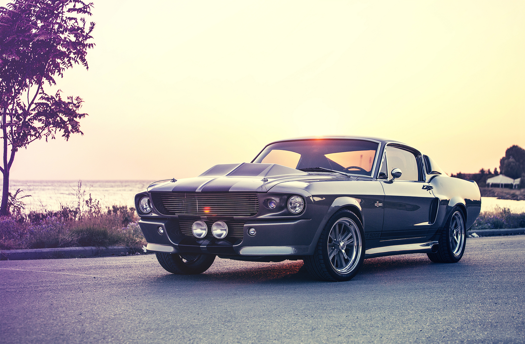 ford, Mustang, Eleanor, Shelby, Gt500e, Muscle, Cars Wallpaper