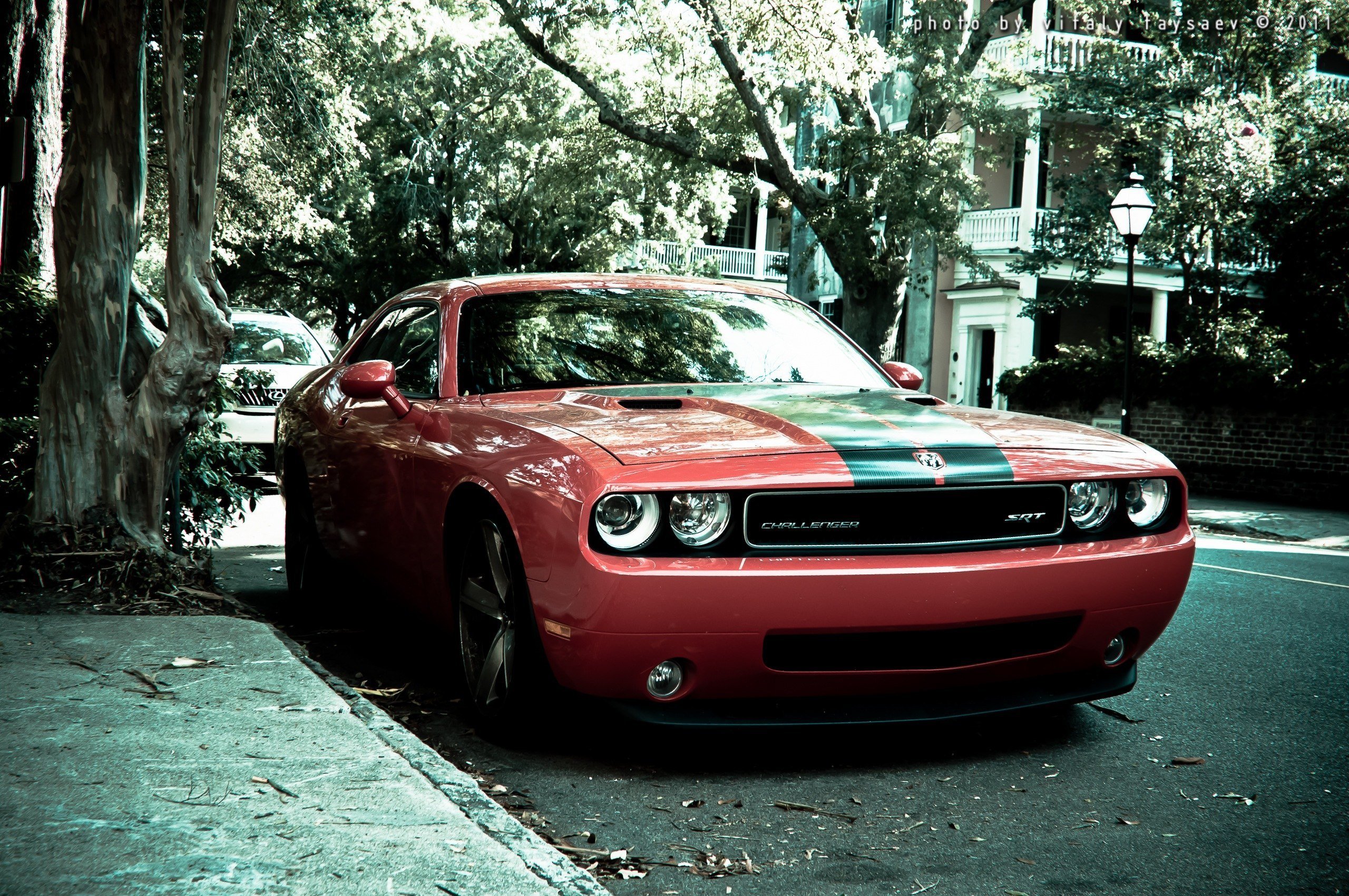 dodge, Challenger Wallpapers HD / Desktop and Mobile Backgrounds