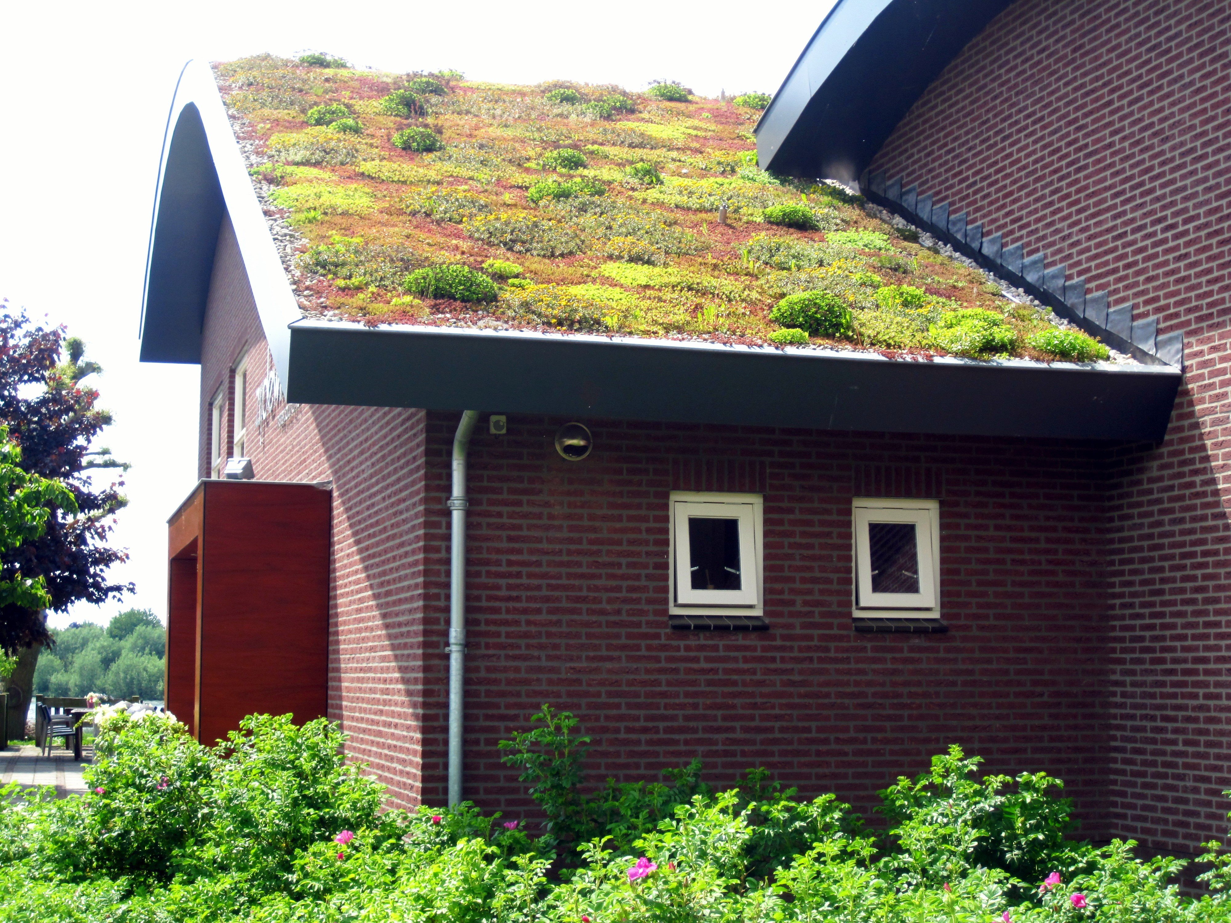 green, Roof, Church, Garden, Building Wallpaper