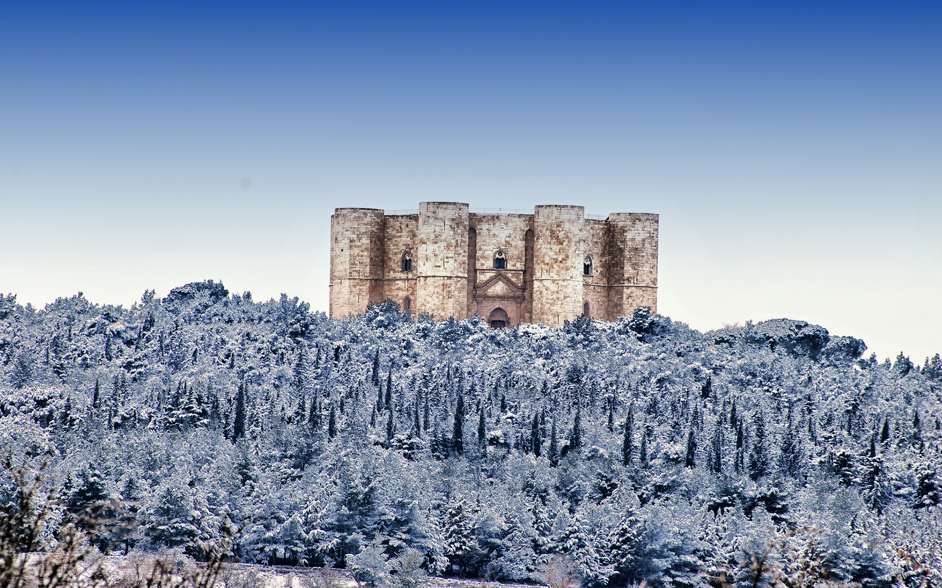 castel, Del, Monte, Castle, Snow, Winter, Trees, Forest, Architecture, Buildings Wallpaper