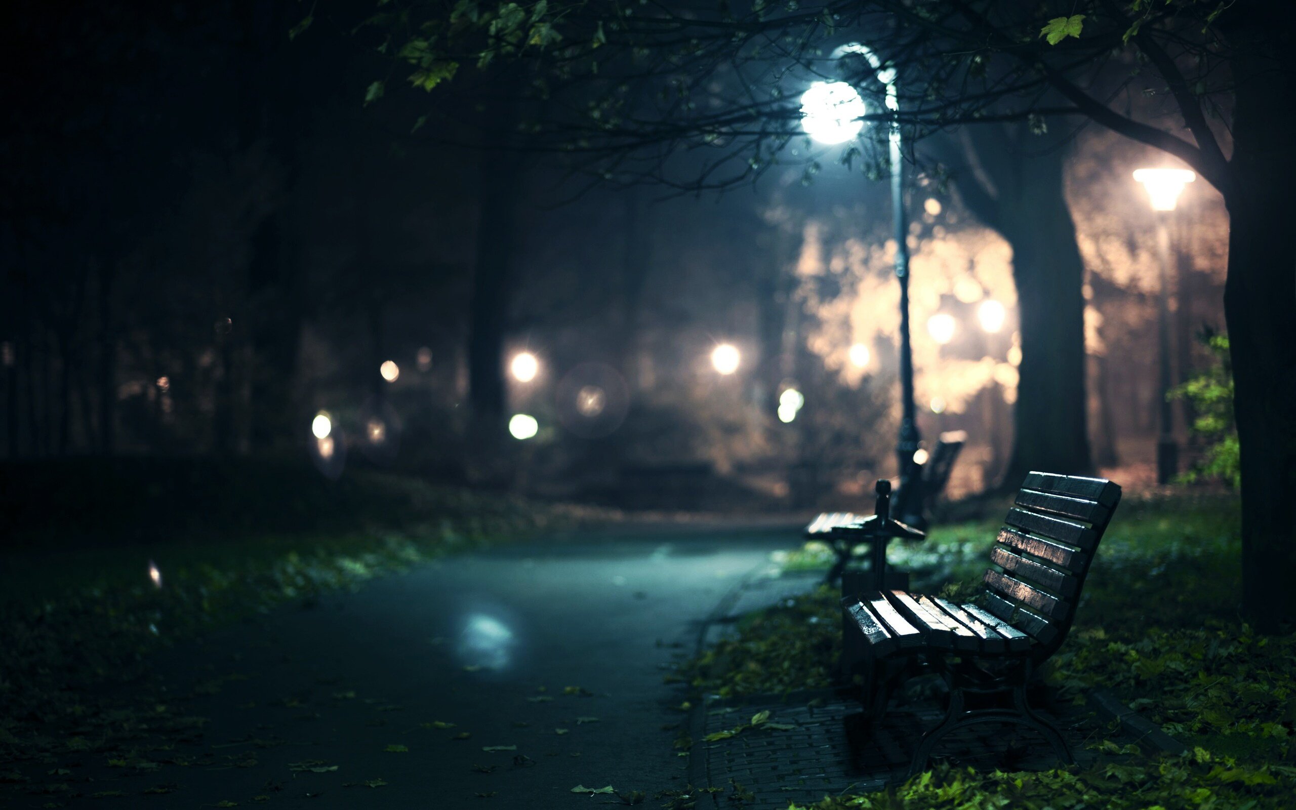 midnight, Lamp, Blur Wallpaper
