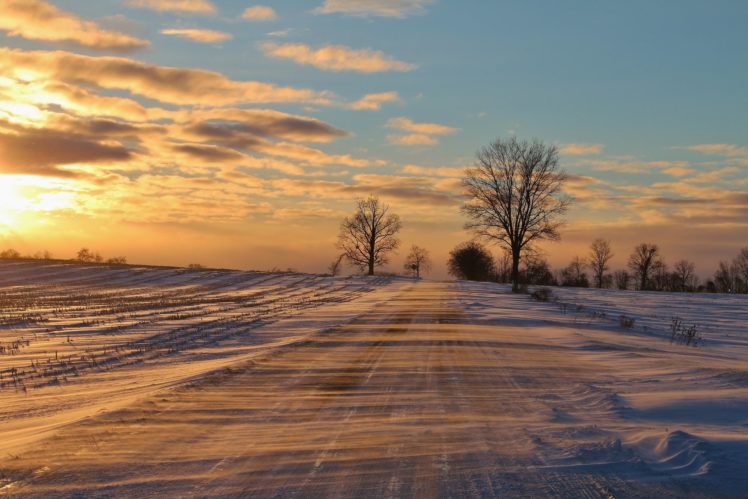 blizzards, Snow, Winter, Trees, Road HD Wallpaper Desktop Background