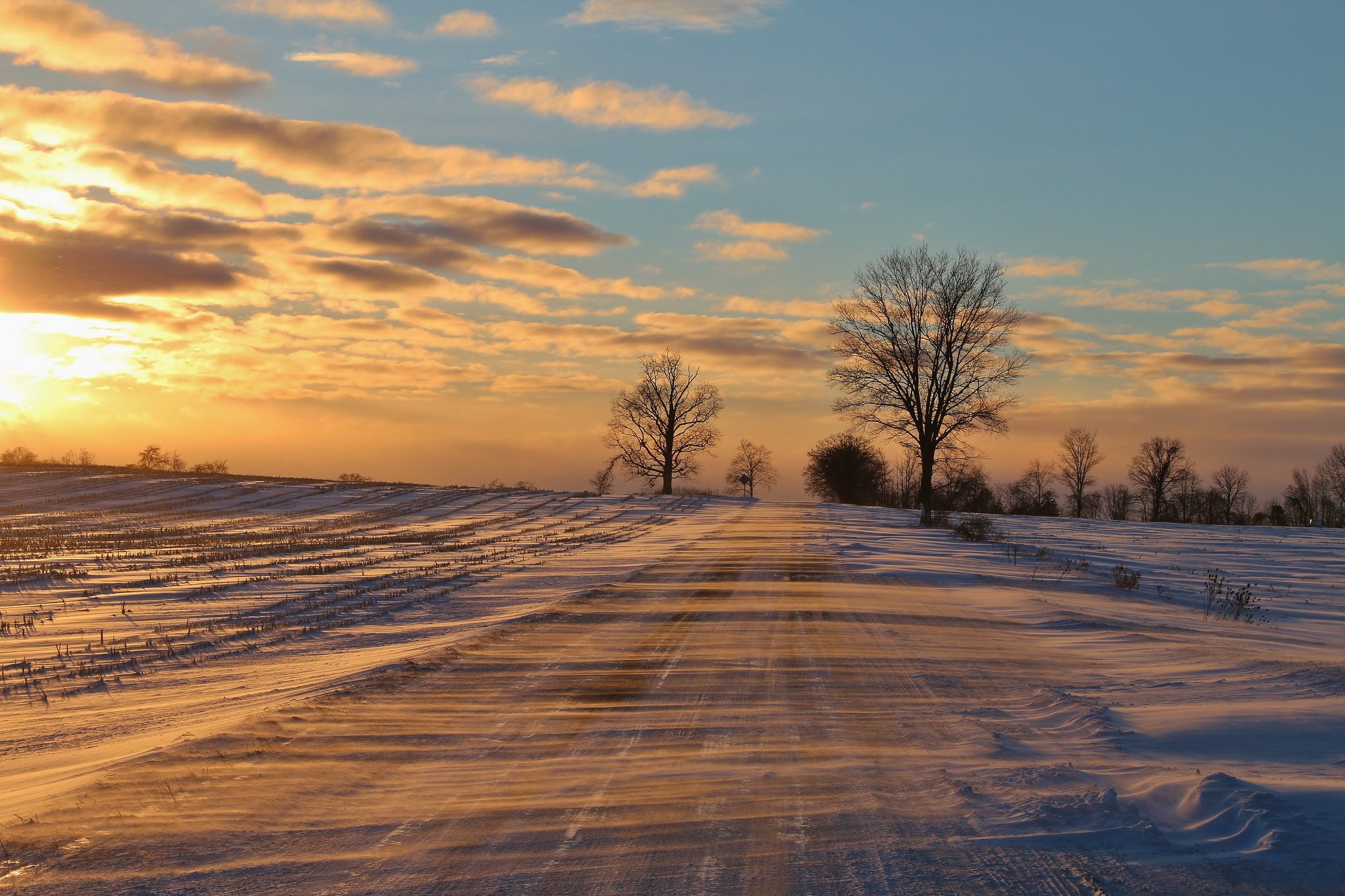 blizzards, Snow, Winter, Trees, Road Wallpaper