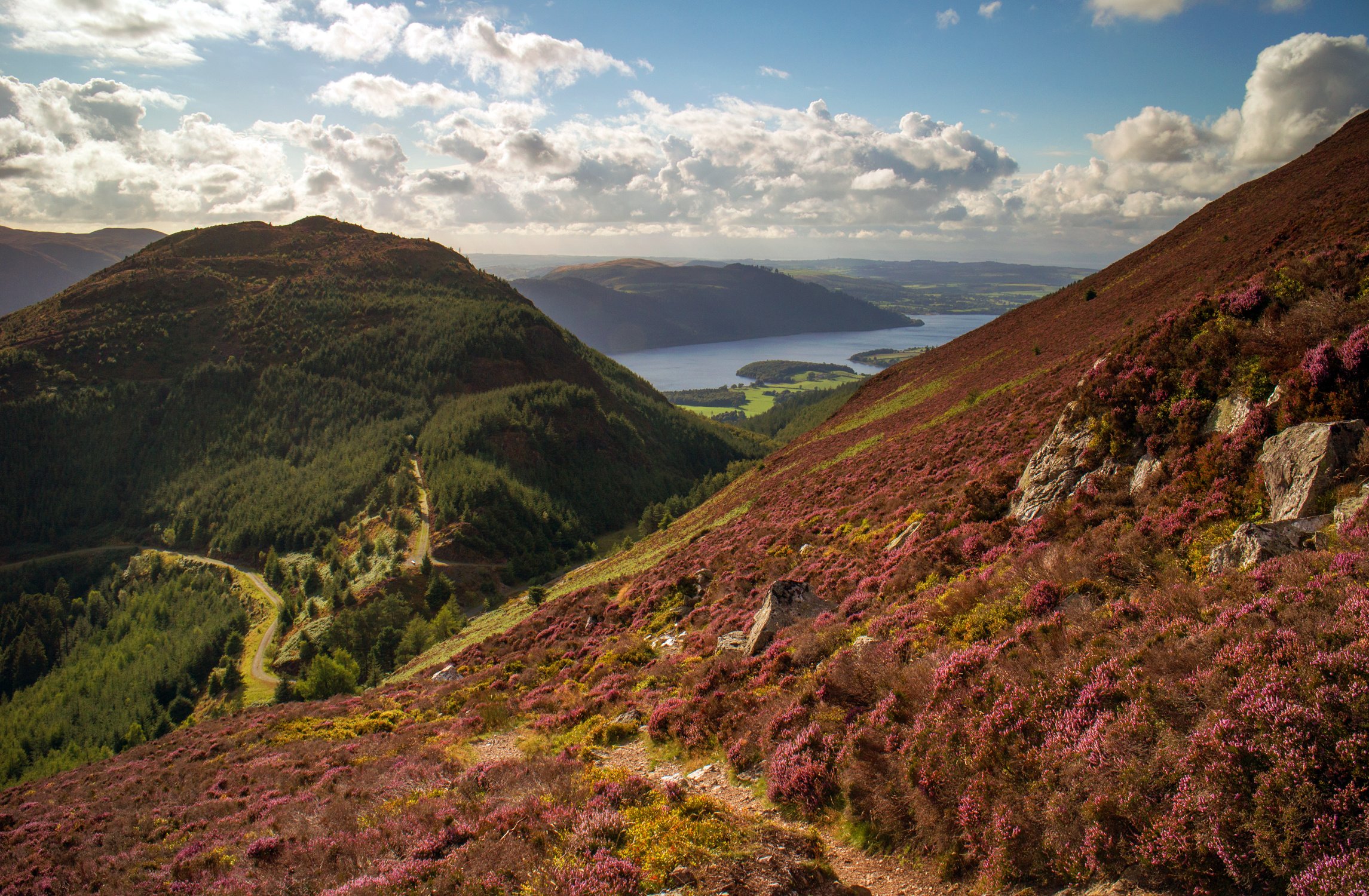 flowers, Sky, Mountains, Valley Wallpaper