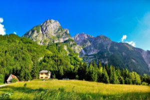 forest, Mountains, Houses, Meadow, Grass, Green
