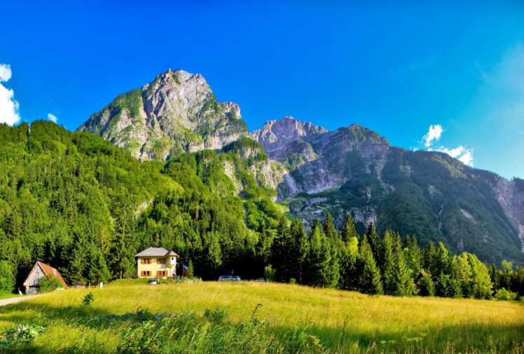 forest, Mountains, Houses, Meadow, Grass, Green HD Wallpaper Desktop Background