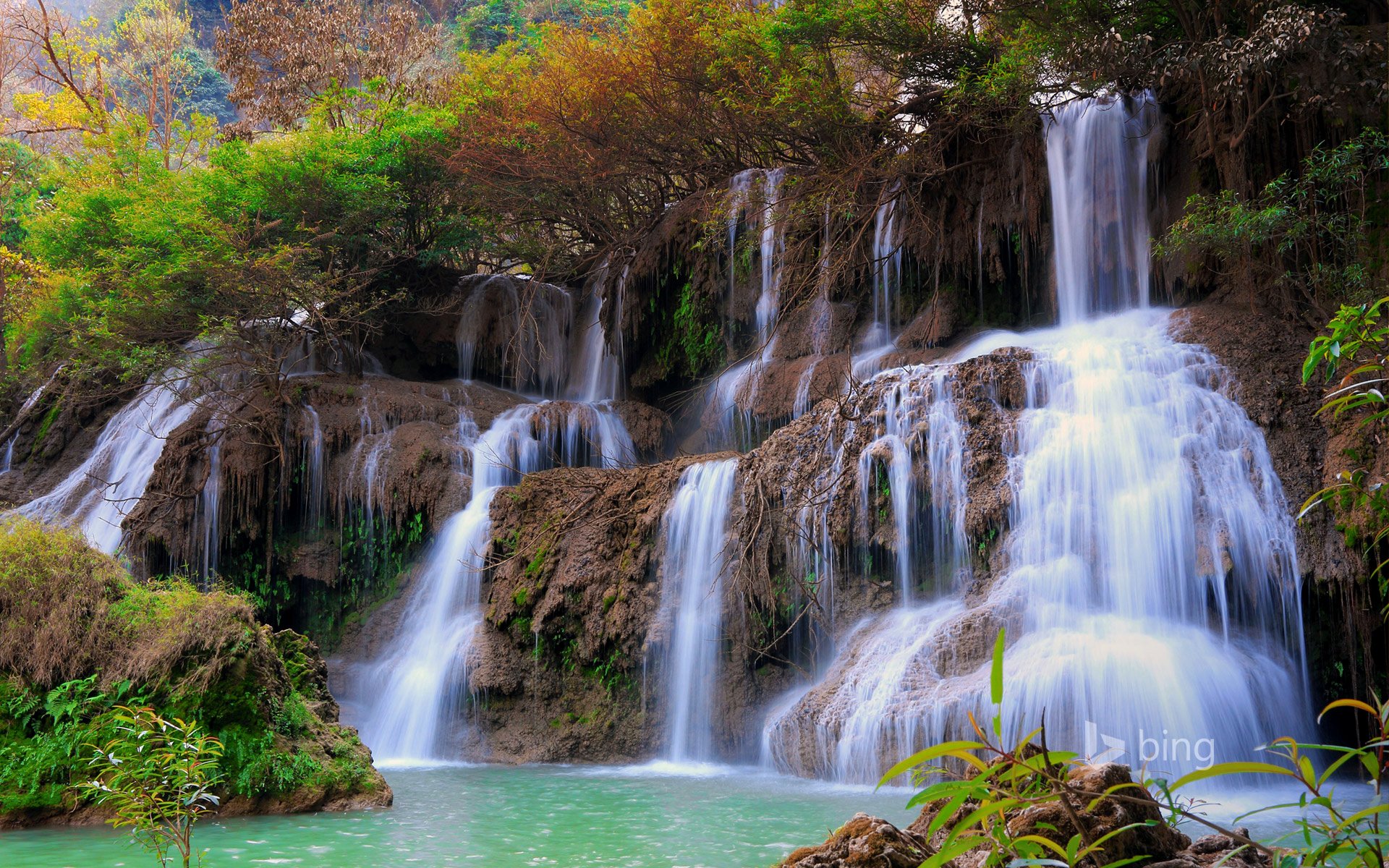 forest, Vegetation, Waterfall Wallpaper