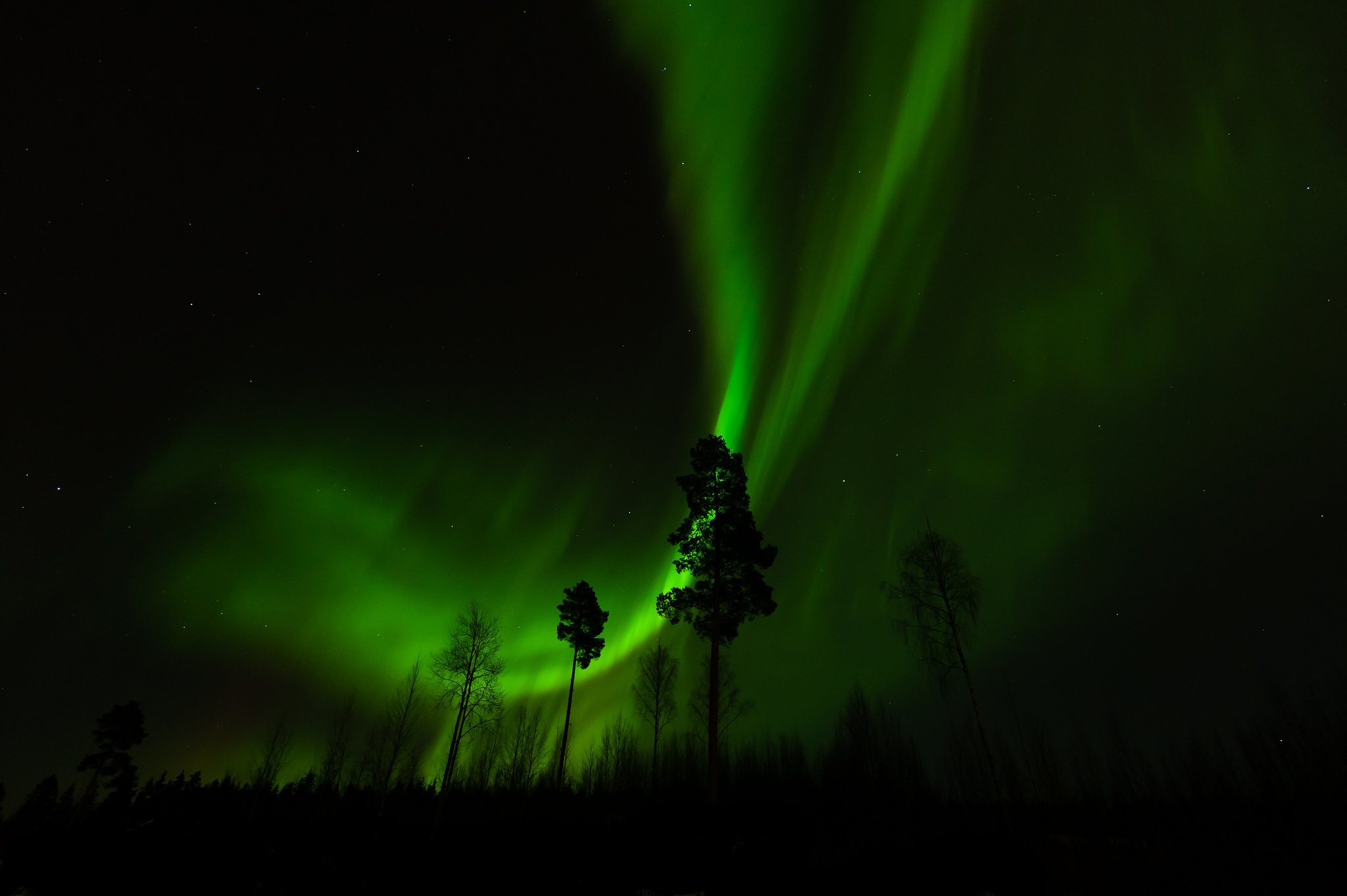 night, Sky, Winter Wallpaper