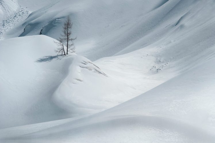 snow, Tree, Winter HD Wallpaper Desktop Background