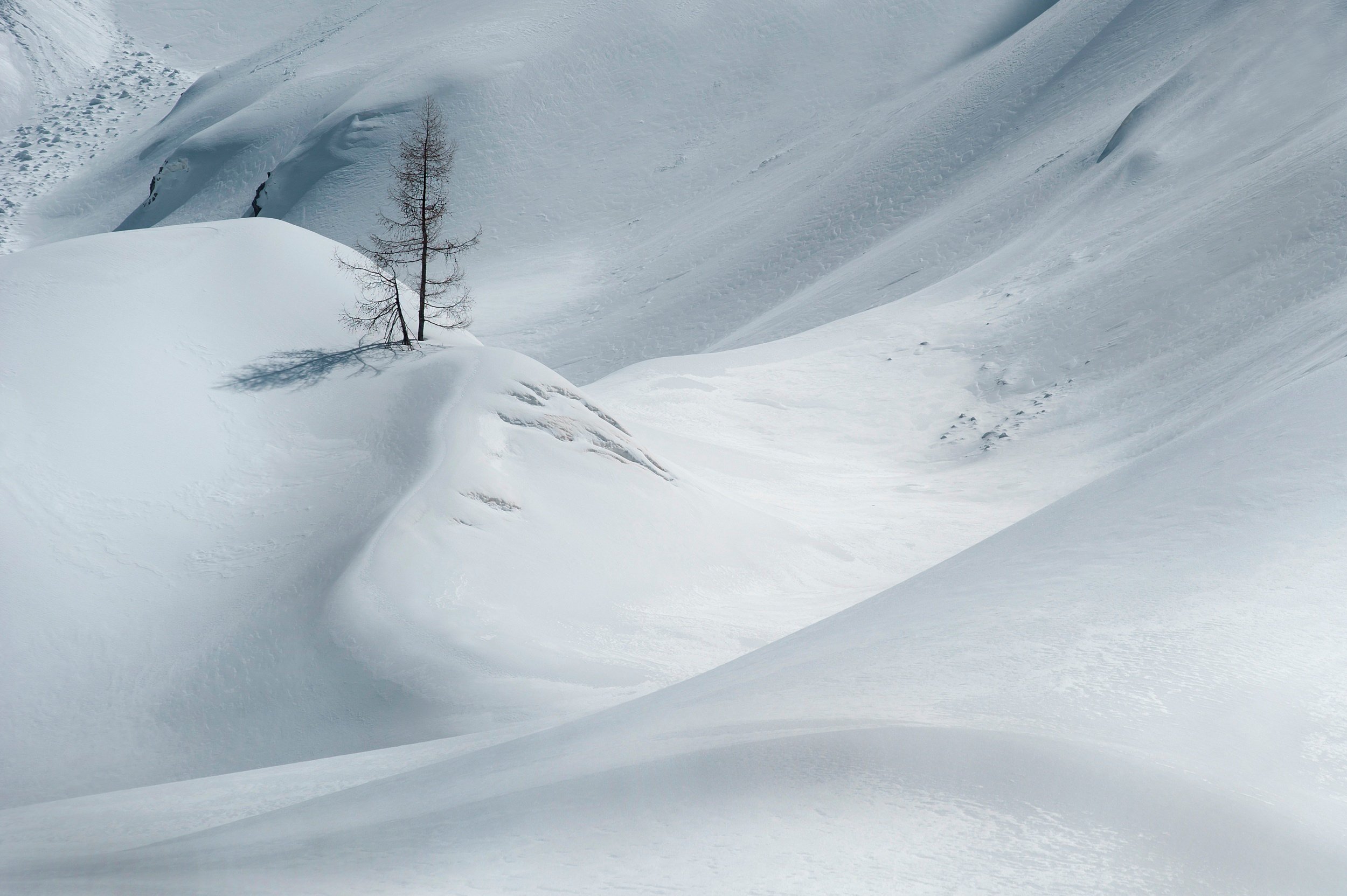 snow, Tree, Winter Wallpaper