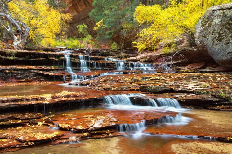 zion, National, Park, Utah, Autumn, River HD Wallpaper Desktop Background