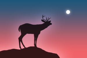 deer, Moon, Sky, Darkness, The, Abyss, Cliff, Jump, Horn, Silhouette