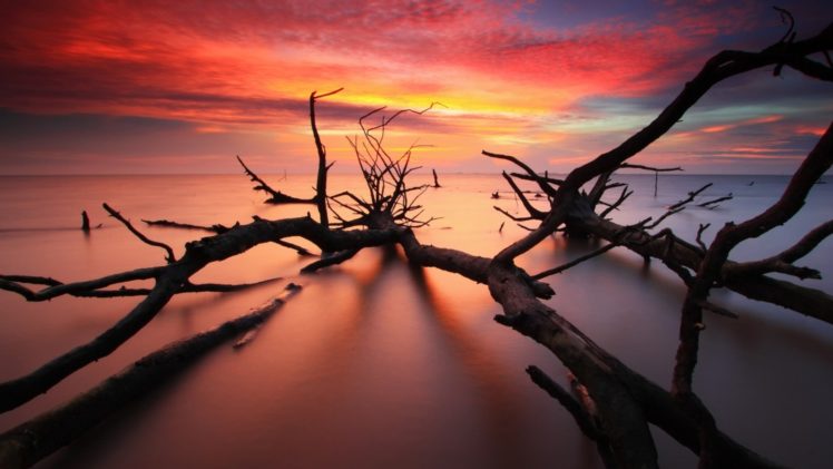 wood, Nature, Ocean, Sea, Sunrise, Sunset, Sky, Clouds, Timelapse, Color HD Wallpaper Desktop Background
