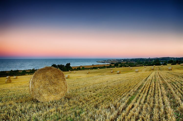 ireland, Greystone, Sea, Coast, Morning, Field, Harvest HD Wallpaper Desktop Background