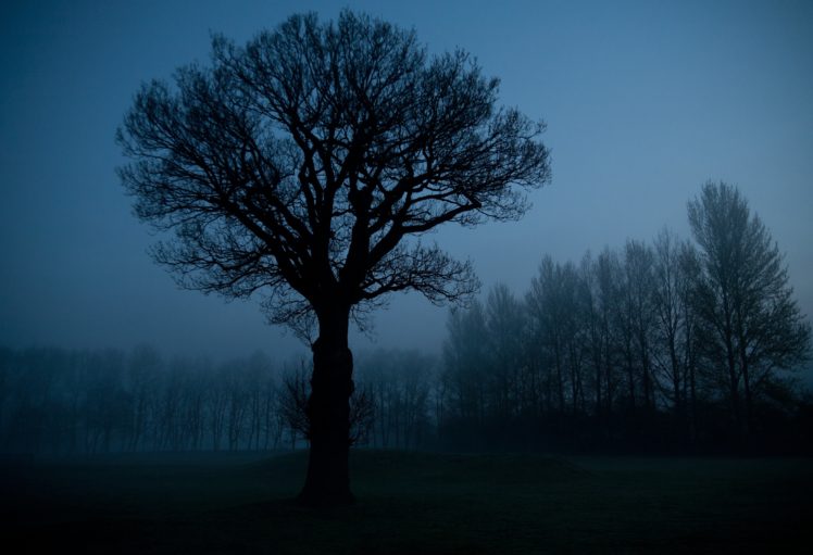 nature, Night, Sky, Trees, Silhouette HD Wallpaper Desktop Background