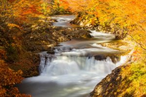 river, Autumn, Nature