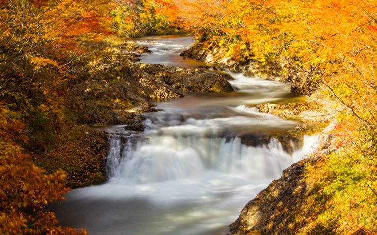 river, Autumn, Nature HD Wallpaper Desktop Background