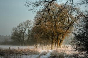 winter, Field, Fence, Landscape