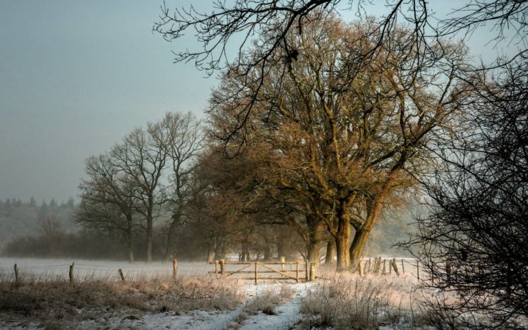 winter, Field, Fence, Landscape HD Wallpaper Desktop Background