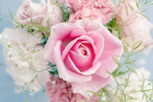 roses, Flowers, Bouquet, Pink