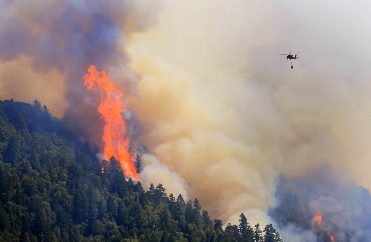forest, Fire, Flames, Tree, Disaster, Smoke HD Wallpaper Desktop Background