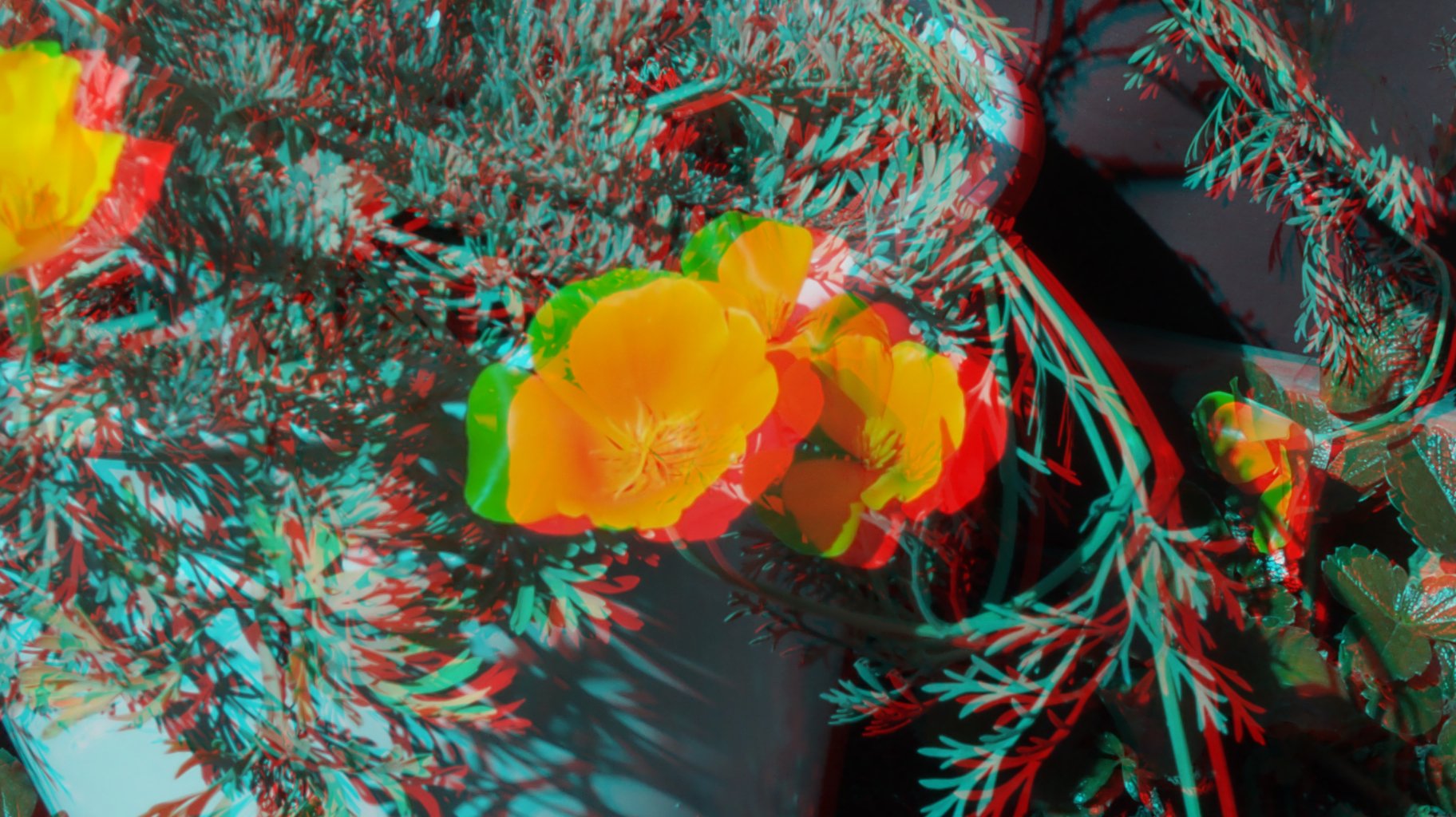 anaglyph, Cars, Glasses, Nature Wallpaper