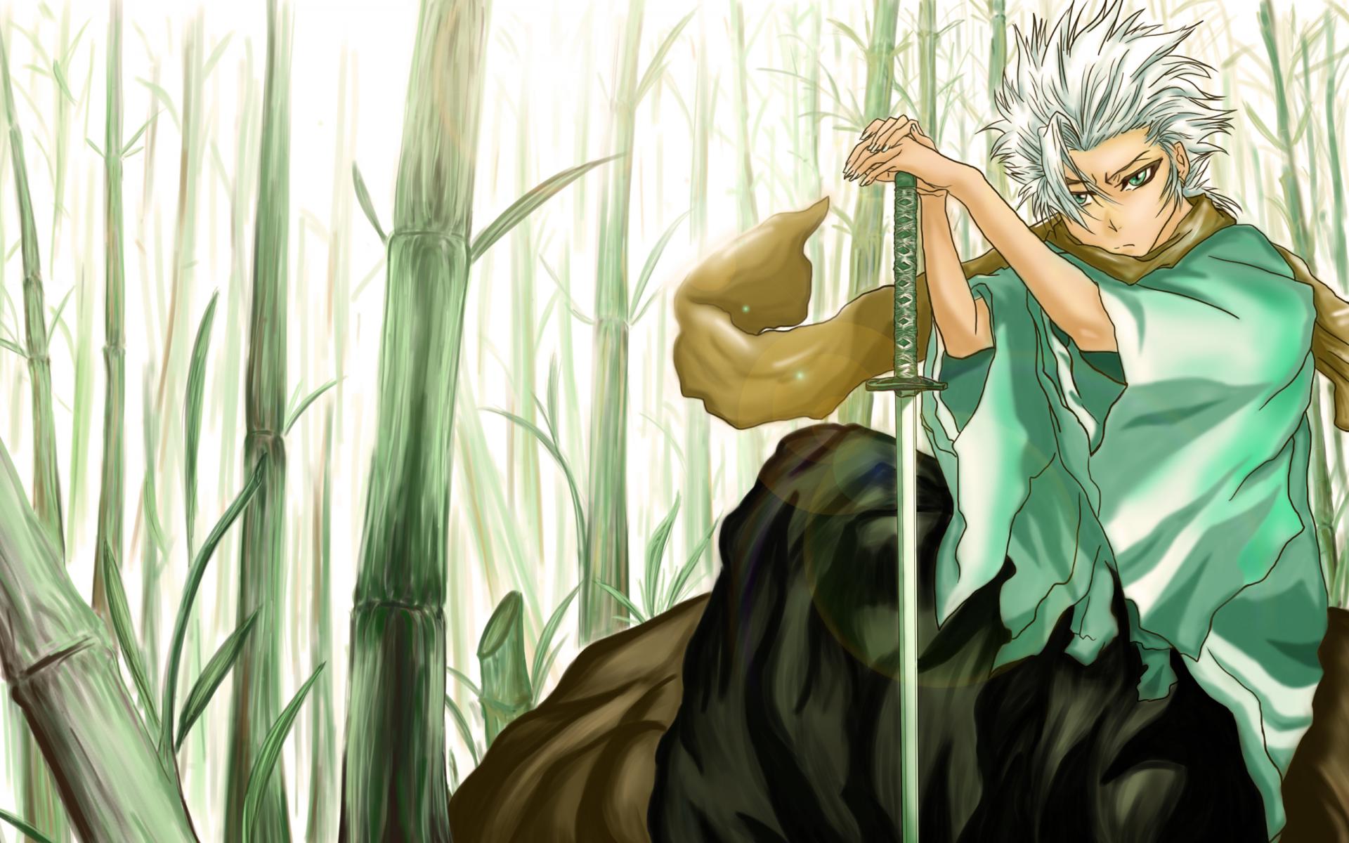 bleach, Toshiro, Hitsugaya Wallpaper