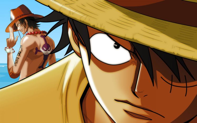 one, Piece, Monkey, D, Luffy, And, Brother HD Wallpaper Desktop Background