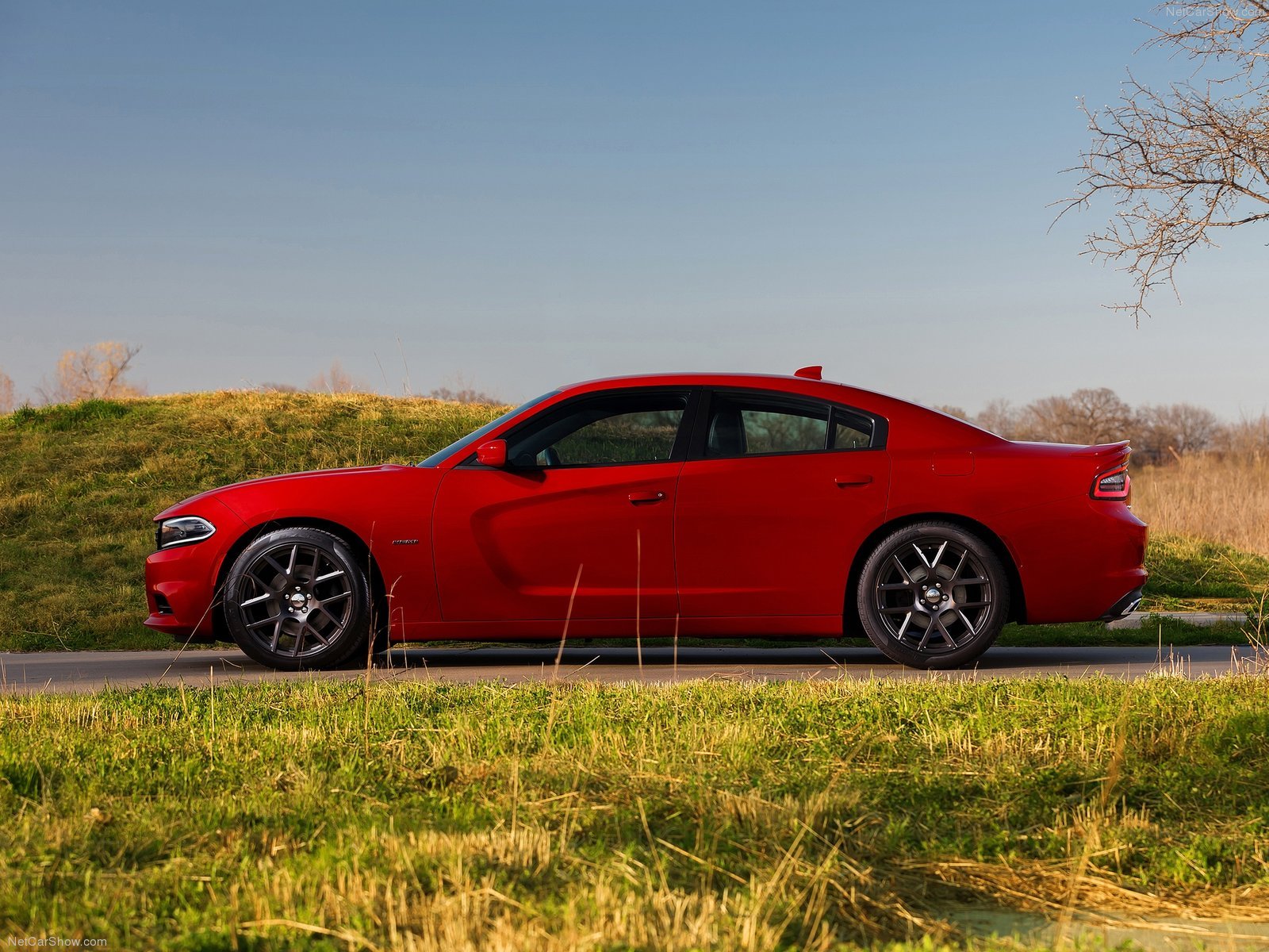 2015, Charger, Dodge, Wallpaper Wallpaper