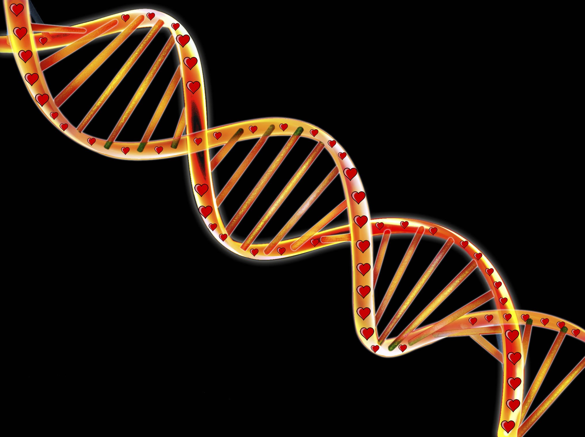 dna, 3 d, Structure, Molecule, Pattern, Abstraction, Genetic, Psychedelic Wallpaper