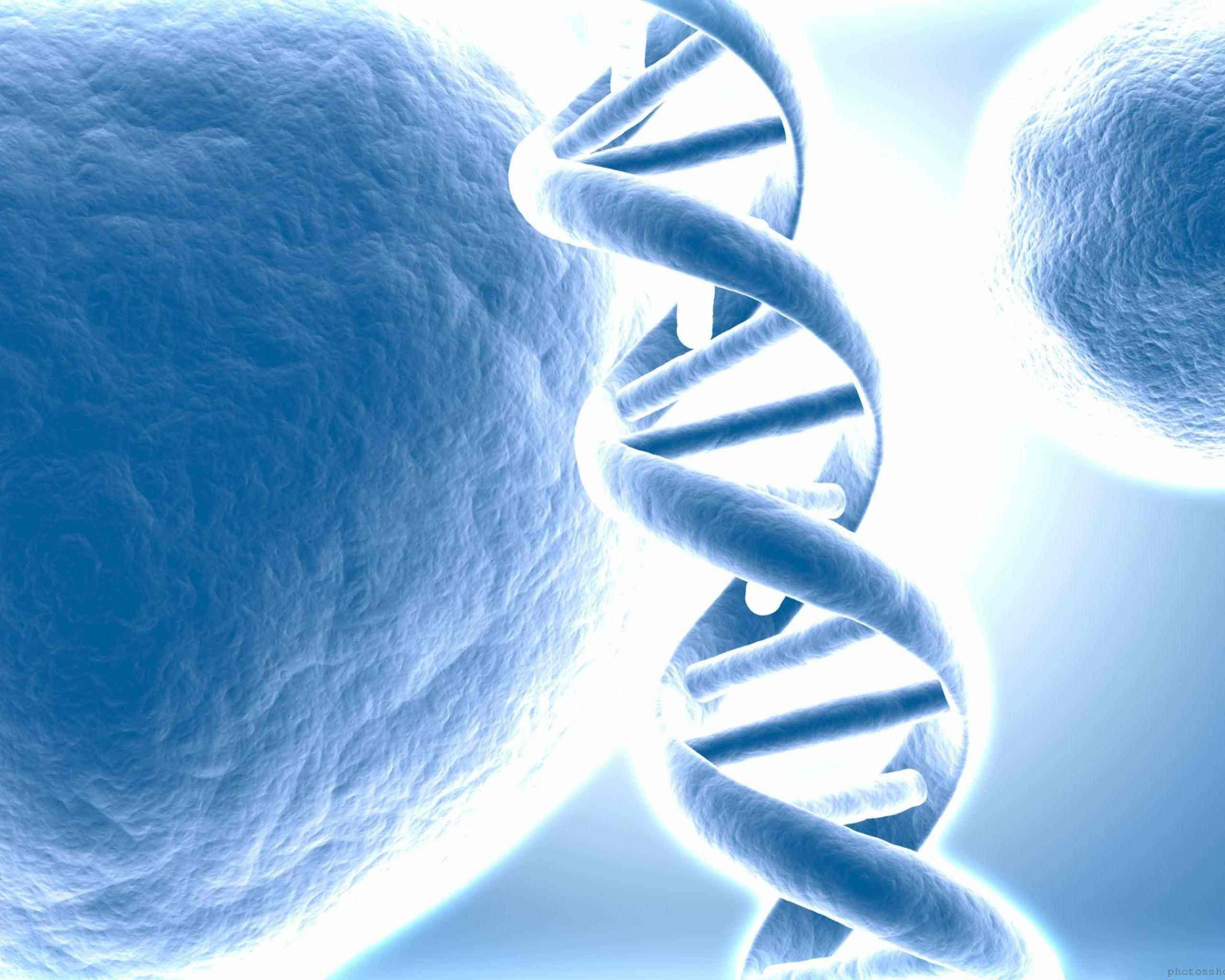 dna, 3 d, Structure, Molecule, Pattern, Abstraction, Genetic, Psychedelic Wallpaper
