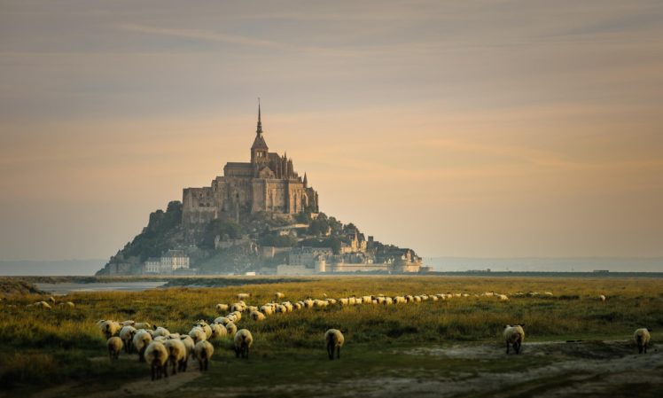 le, Mont, Saint michel, Castle, French, France, Saint, Michel, Monastery, Church, Abbey, Cathedral HD Wallpaper Desktop Background