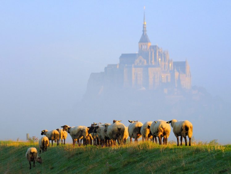 le, Mont, Saint michel, Castle, French, France, Saint, Michel, Monastery, Church, Abbey, Cathedral HD Wallpaper Desktop Background