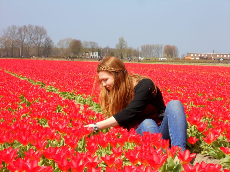 tulip, Fields, Tulips, Field, Flower, Flowers, Redhead, Babe, Mood HD Wallpaper Desktop Background