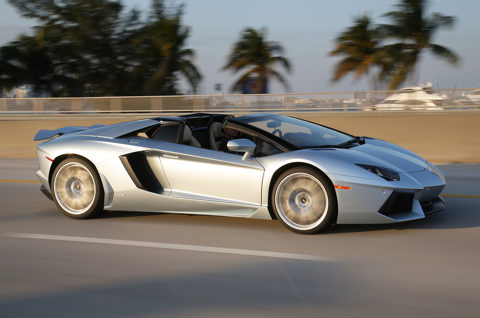 2014, Lamborghini, Aventador, Roadster, Supercar, Silver Wallpaper