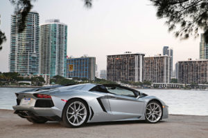 2014, Lamborghini, Aventador, Roadster, Supercar, Silver