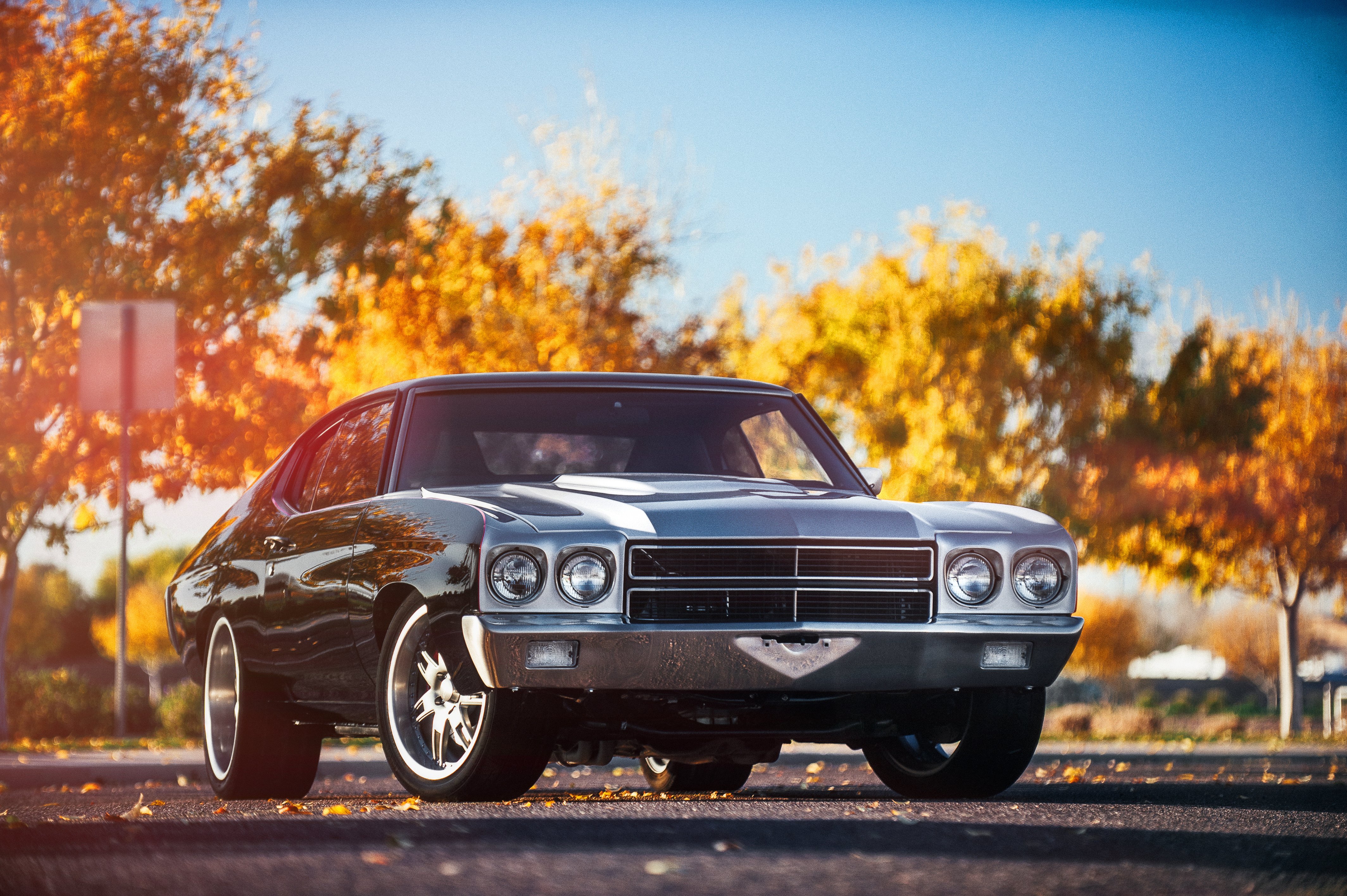 chevelle, Front, Chevrolet, Muscle, Classic, Hot, Rod, Rods Wallpaper