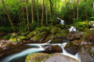 great, Smoky, Mountains, National, Park, Forest, River, Waterfall