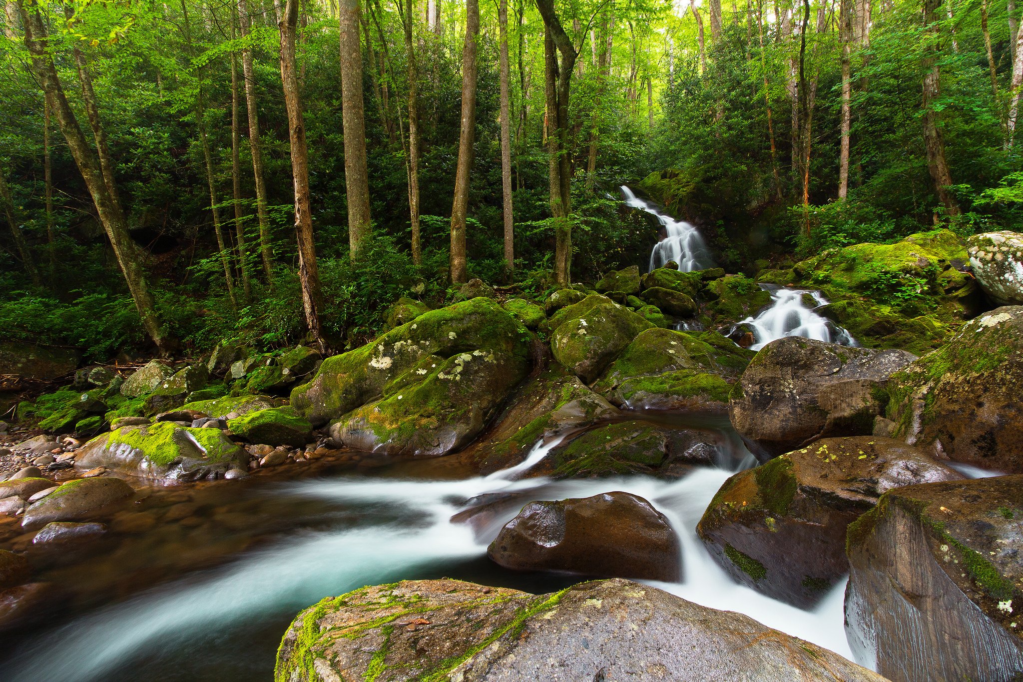 great, Smoky, Mountains, National, Park, Forest, River, Waterfall Wallpaper