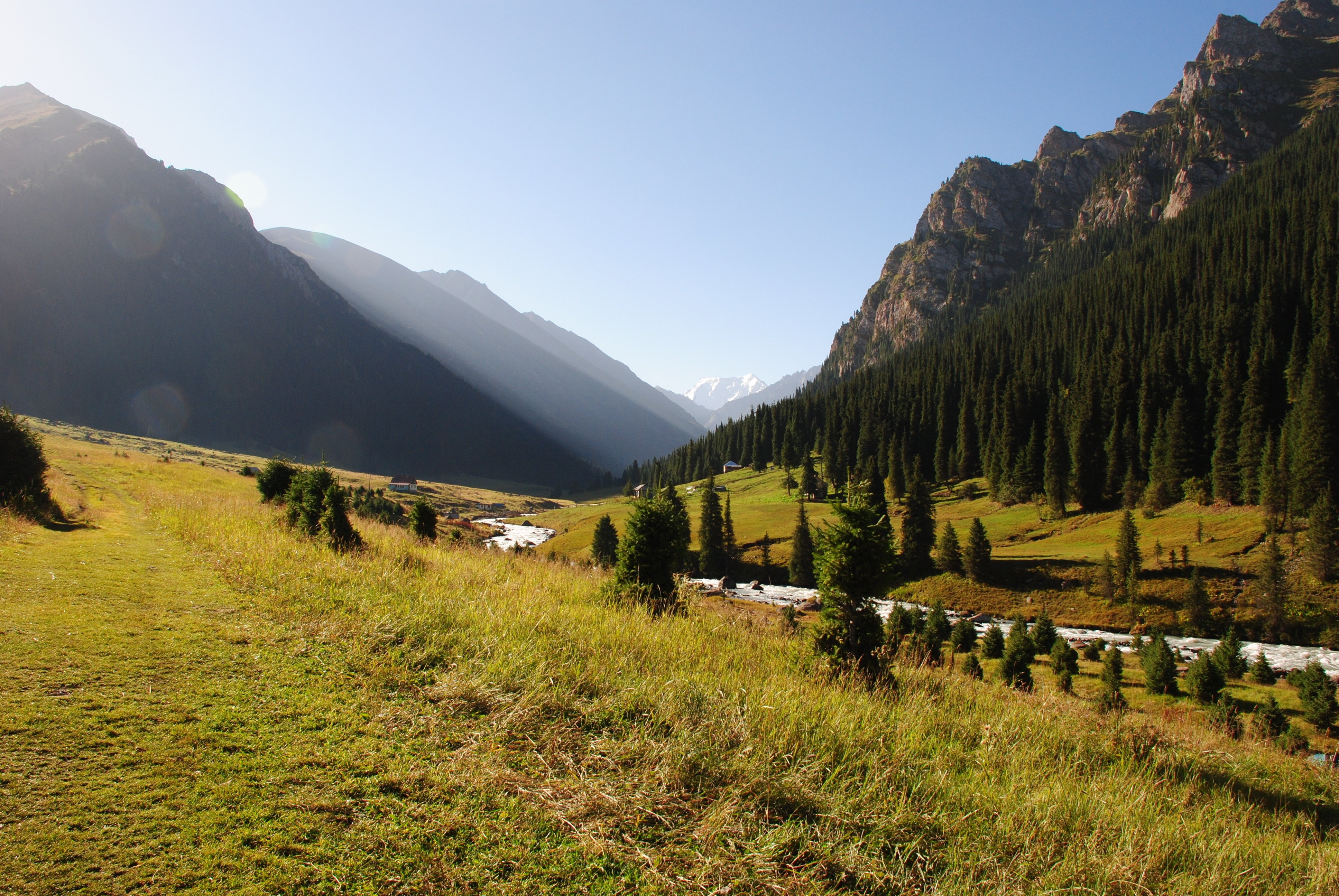 forest, River, Altyn, Arashan, Nature, Karakol, Mountain Wallpaper