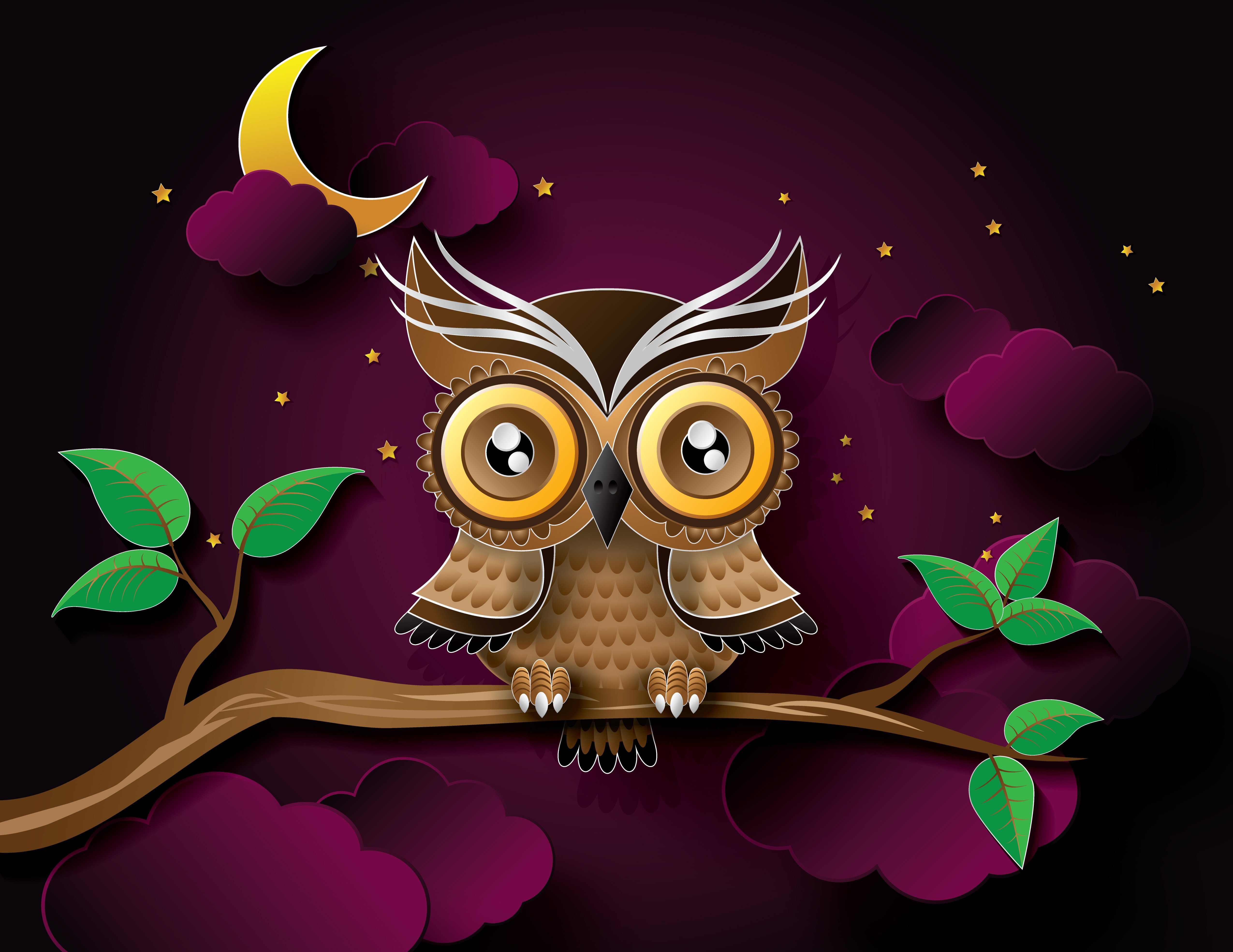 owl, Night, Branch, Stars, The, Moon, The, Leaves Wallpaper