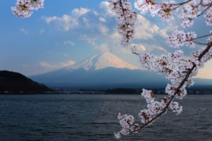 fuji, Sakura, Background, Forest, Tsvetenie, Volcano, Blossoms, Flowers, Sea, Ocean, Mountains
