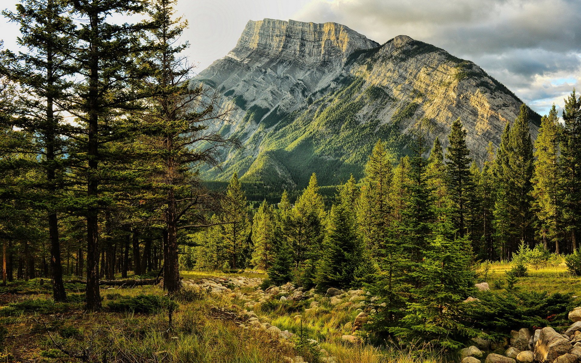 mount, Rundle, Alberta, Canada, Early, Light, Banff, National, Park Wallpaper