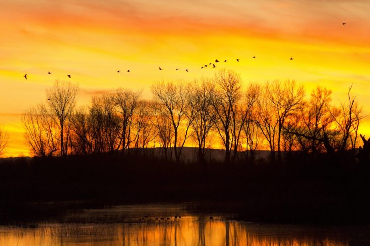 california, Flock, Birds, Sunset, Sunrise, Color, Lake, Reflection HD Wallpaper Desktop Background