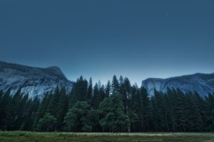 usa, California, Yosemite, Valley, Forest, Mountains