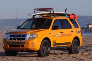 2008, Ford, Escape, Hybrid, Lifeguard, Vehicles