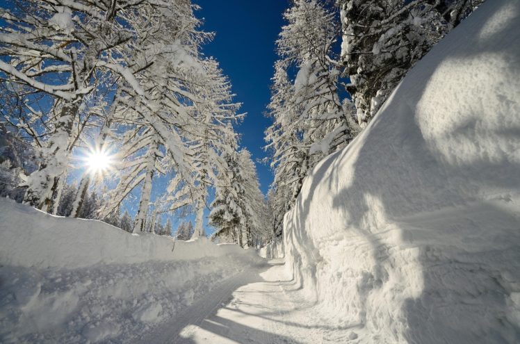 sun, Frost, Snow, Drifts, Trees, Winter, Path HD Wallpaper Desktop Background