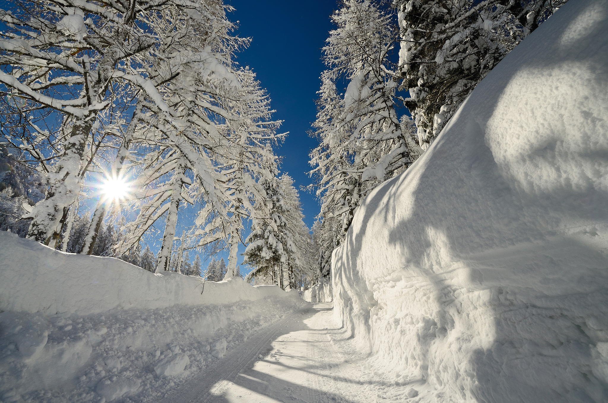 sun, Frost, Snow, Drifts, Trees, Winter, Path Wallpaper