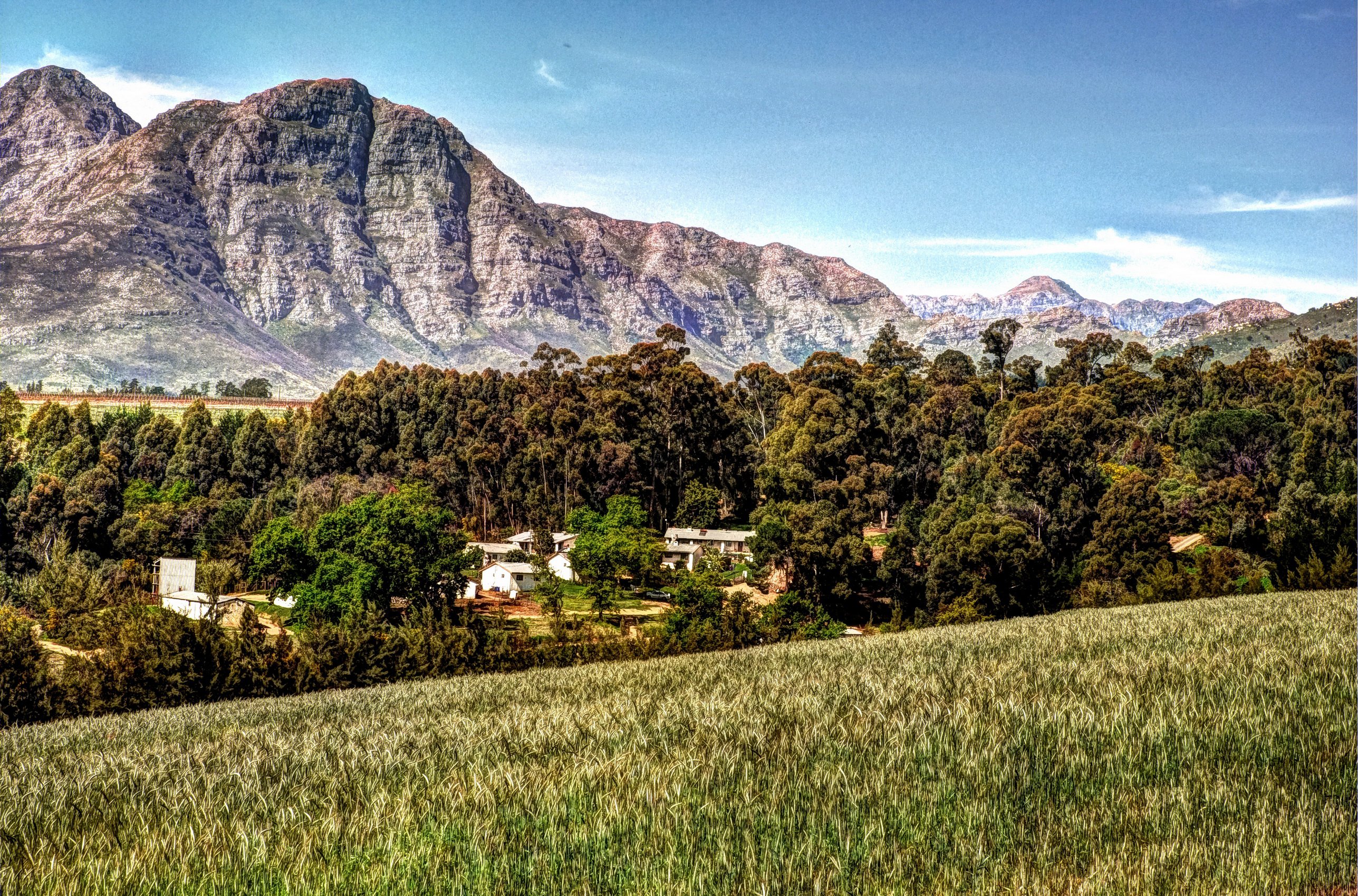 mountains, Garden, South, Africa, Kirstenbosch, Grass, Hdr, Nature Wallpaper
