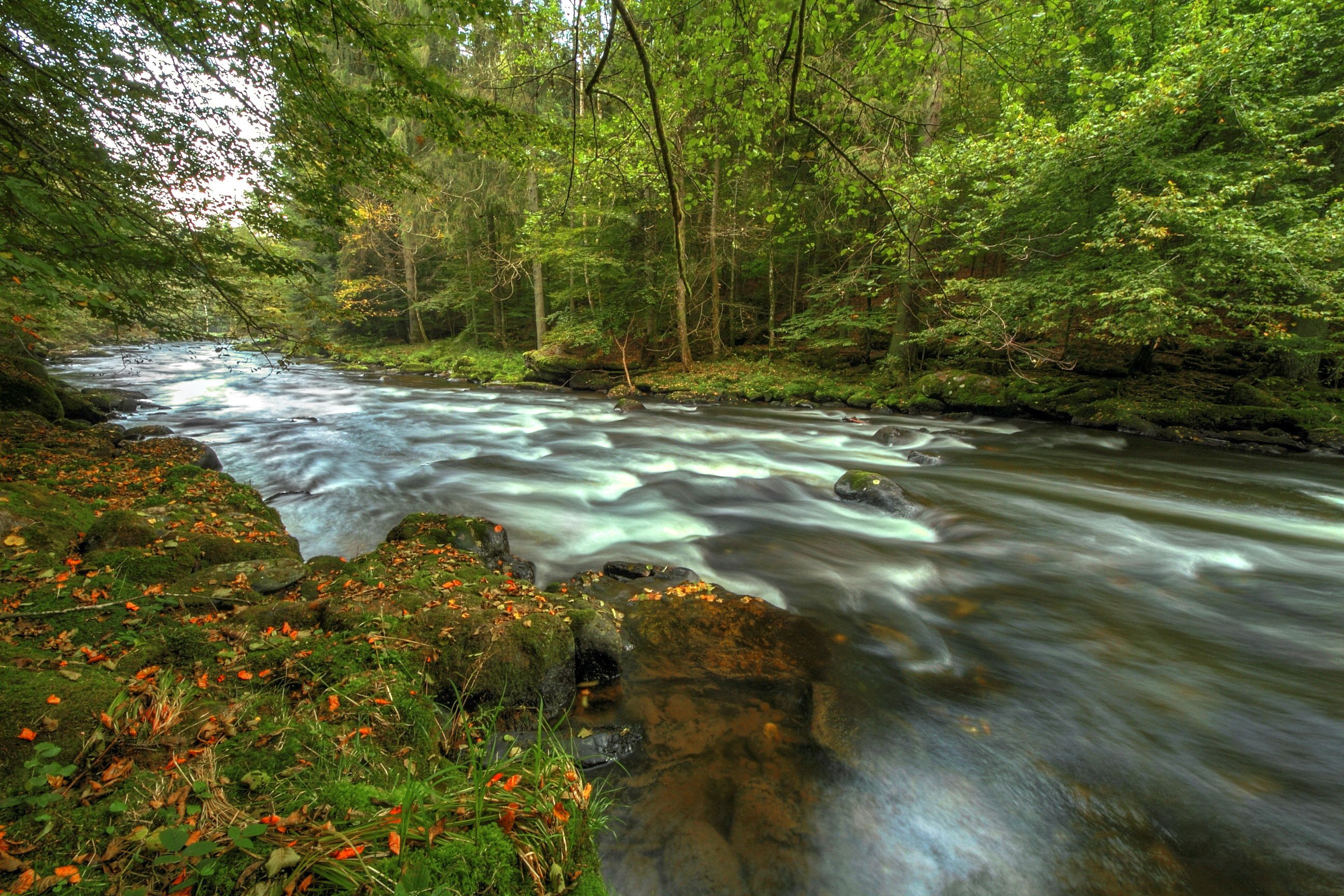 germany, Forest, River, Bavaria, Nature Wallpaper